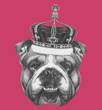 İngilizce Bulldog tacı olan