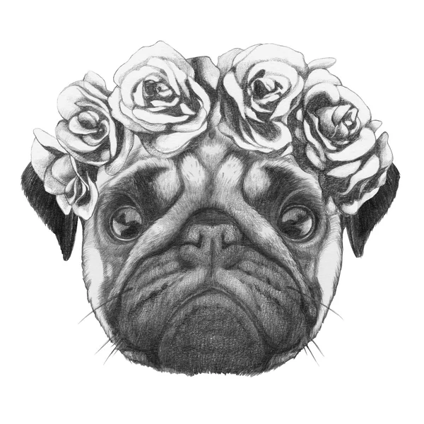 Pug Dog met bloemen hoofd krans — Stockfoto