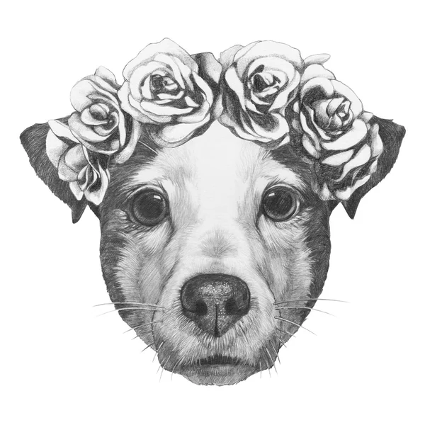 Jack Russell med blommor huvudet krans — Stockfoto