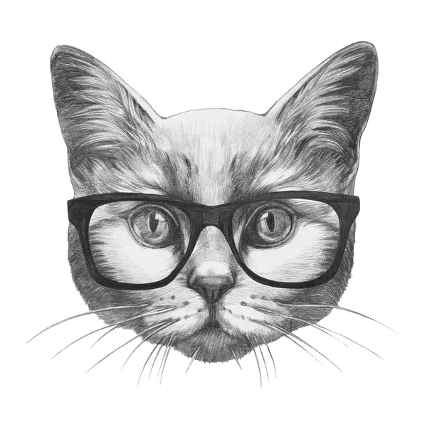 ภาพวาดต้นฉบับของแมวที่มีแว่นตา — ภาพถ่ายสต็อก