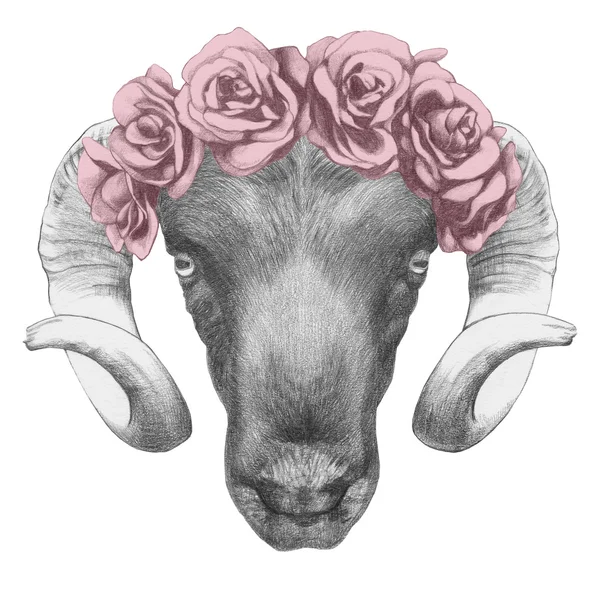 Desenho original de Ram com rosas — Fotografia de Stock