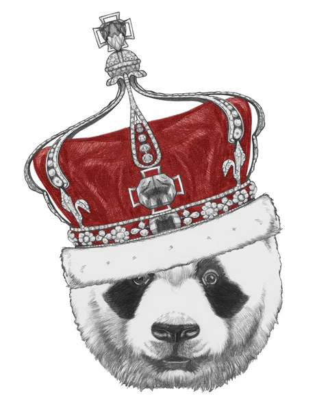 熊猫与皇冠的原始绘图 — 图库照片