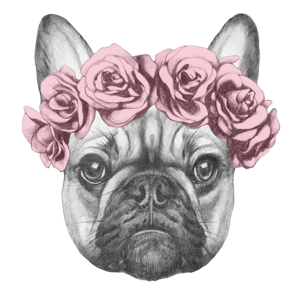 Mops pes s květinovými hlavy věnec — Stock fotografie