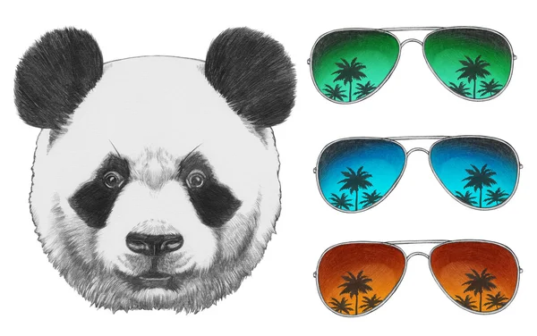 Panda s zrcadlem brýle — Stock fotografie