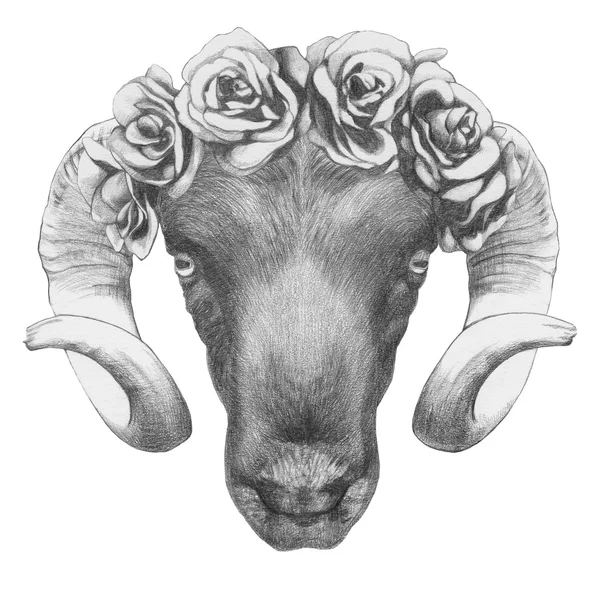 Dibujo original de Ram con rosas — Foto de Stock