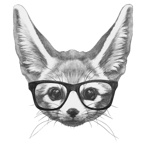 Fennec Fox con gafas — Foto de Stock