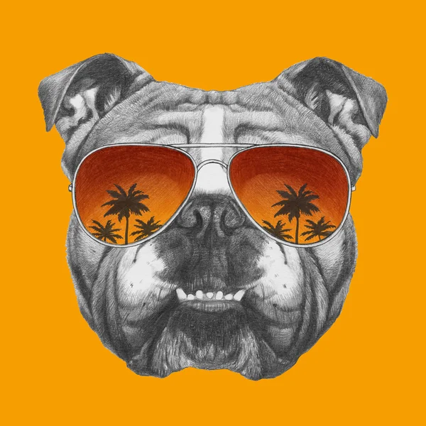 Bulldog inglés con gafas de sol espejo —  Fotos de Stock