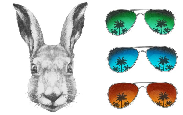Кролик в солнечных очках — стоковое фото