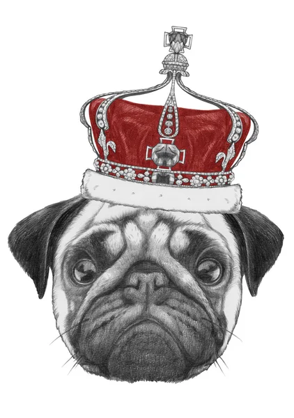 Dibujo perro pug fotos de stock, imágenes de Dibujo perro pug sin royalties | Depositphotos Dibujo perro pug fotos de stock, imágenes de Dibujo perro pug sin royalties | Depositphotos