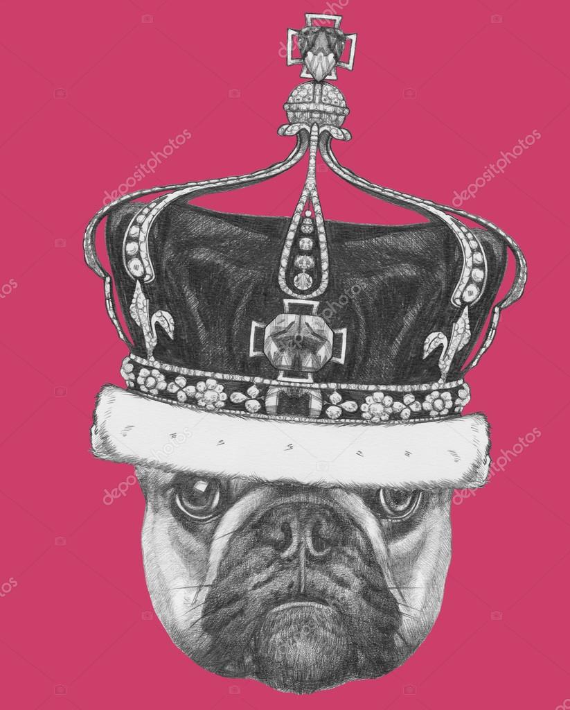 Disegno originale di Bulldog francese con corona Isolato su sfondo colorato — Foto di Victoria Novak