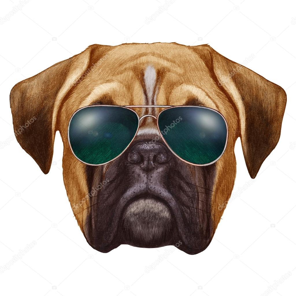 Boxerhund mit Sonnenbrille Stockfotografie lizenzfreie Fotos