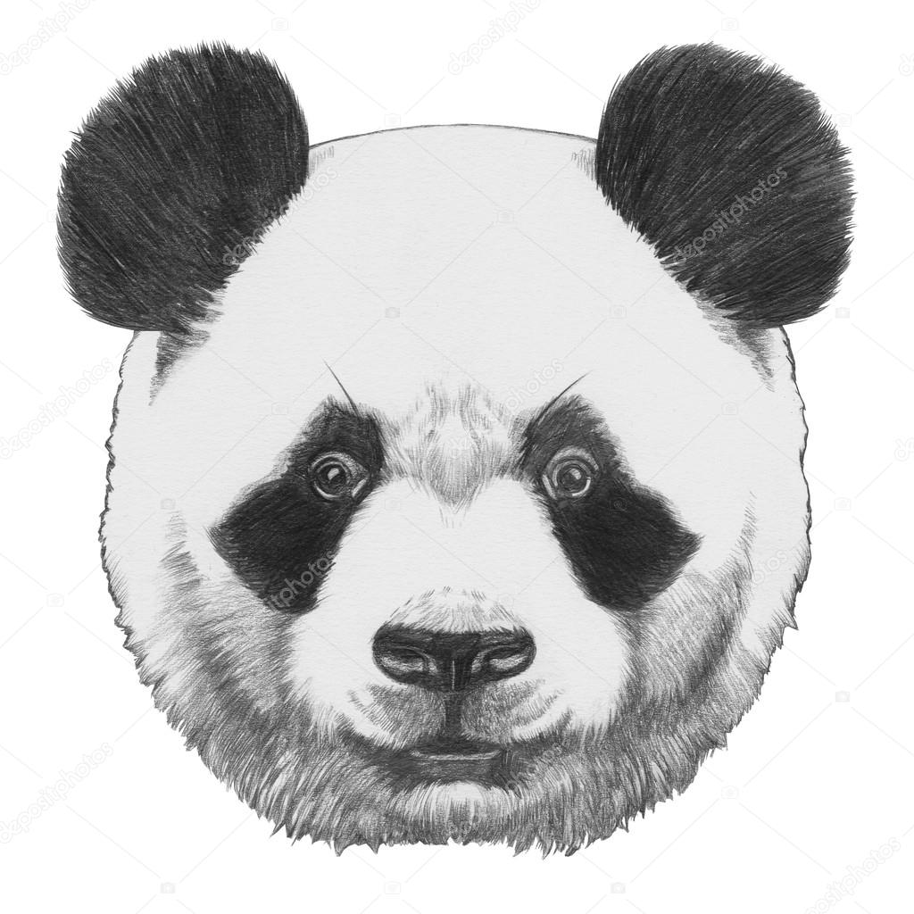 Original drawing of Panda