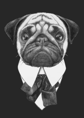 moda illüstrasyon Pug köpek
