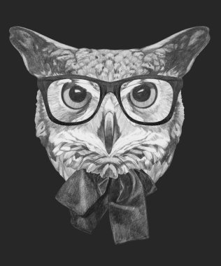 Baykuş gözlük ve yay ile