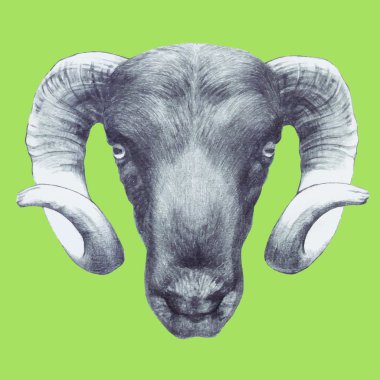 Ram'ın baş el çekilmiş