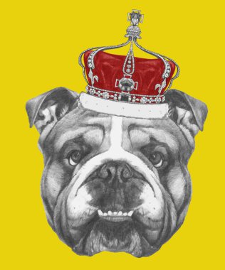 English Bulldog with crown vector