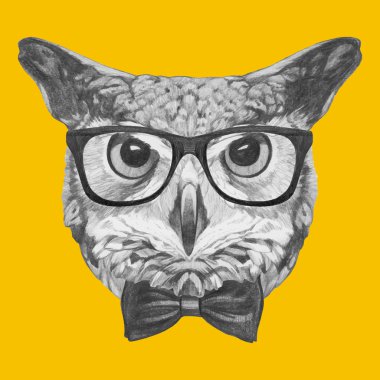 Baykuş gözlük ve papyon ile