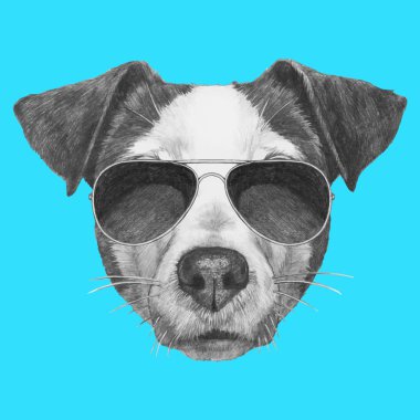 Jack Russell ile güneş gözlüğü.