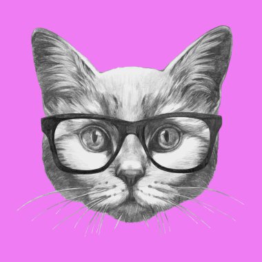 Kedi portre gözlüklü