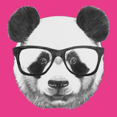 Panda portresi gözlüklü