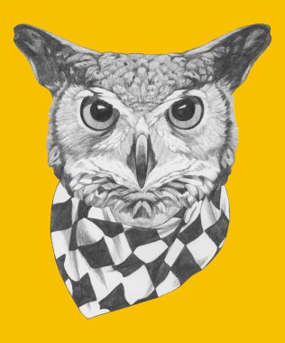 Baykuş portresi eşarp ile