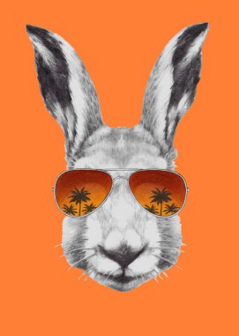 Ayna güneş gözlüğü ile tavşan