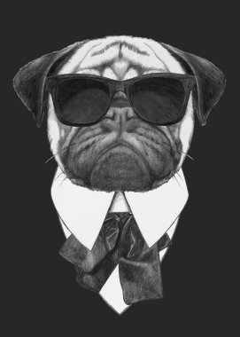 güneş gözlüğü ile pug köpek