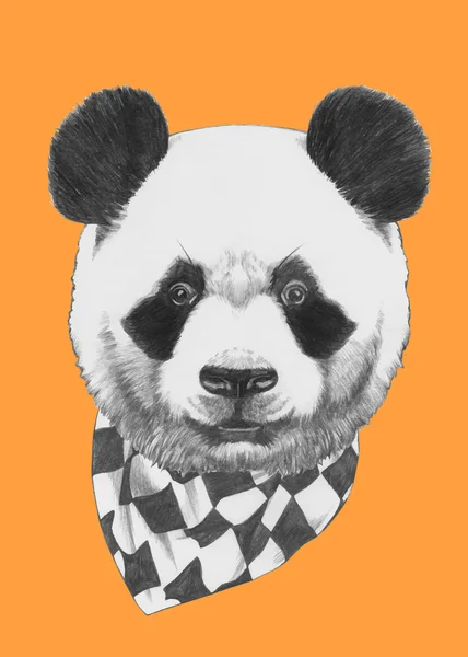 Retrato de Panda com cachecol — Vetor de Stock