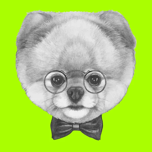 Pomeranian dog with glasses and bow tie — Stock Vector