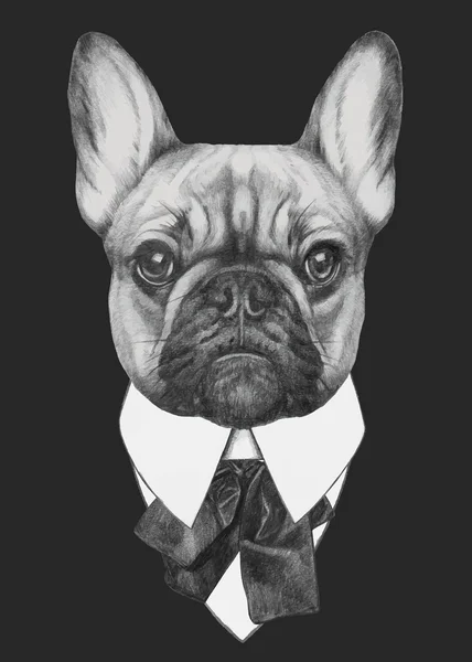 Retrato de moda Bulldog francés — Vector de stock