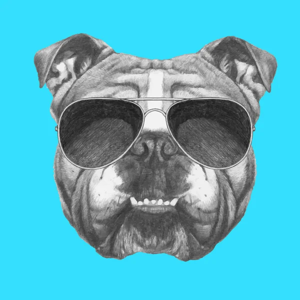 Bulldog anglais avec lunettes de soleil — Image vectorielle