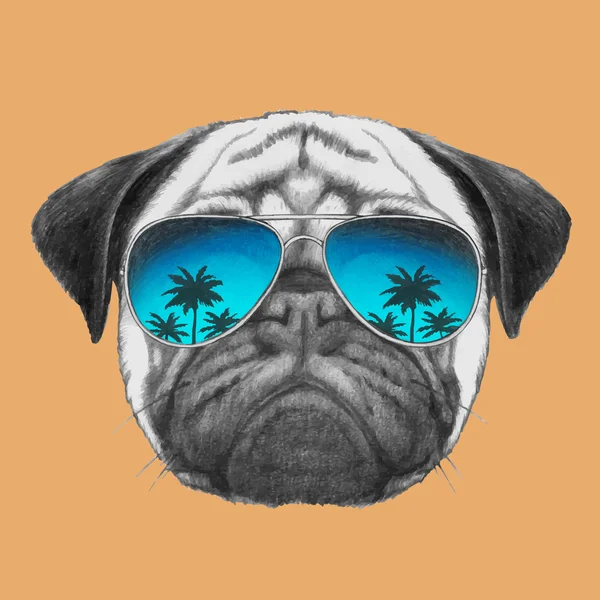 Retrato de Pug Dog com óculos de sol — Vetor de Stock