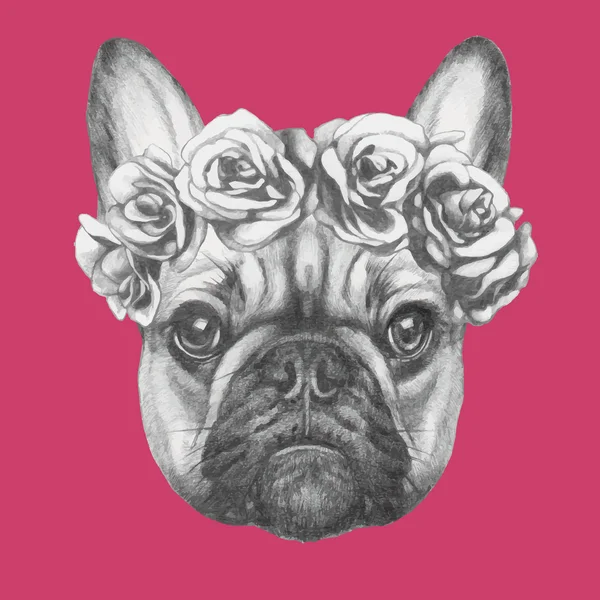 Bulldog francés con rosas — Vector de stock