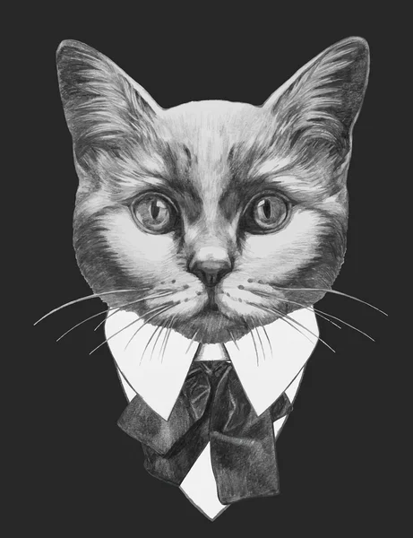 Moda Ilustração de Gato — Vetor de Stock