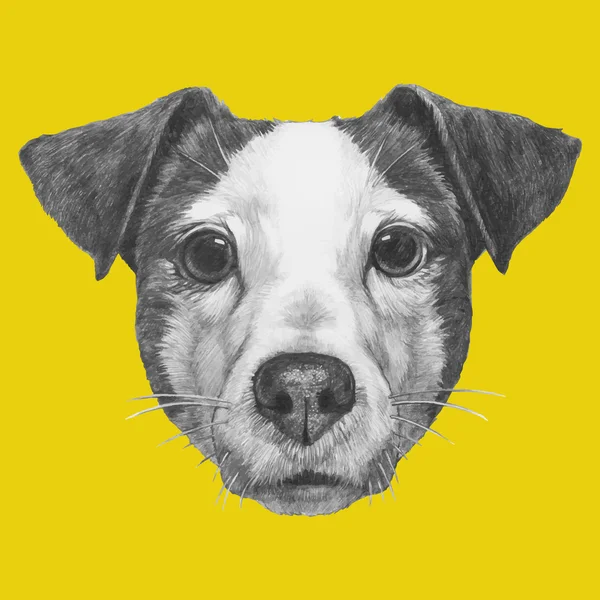 Portrait of Jack Russell — Stock Vector