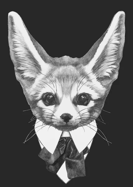 แฟชั่น Fennec Fox — ภาพเวกเตอร์สต็อก