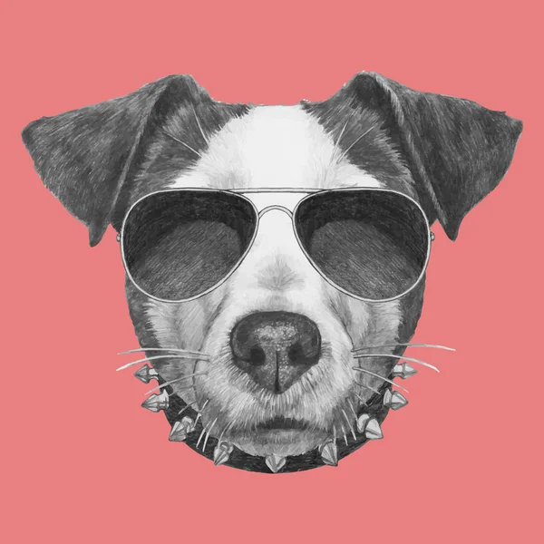 Jack Russell mit Kragen und Sonnenbrille — Stockvektor