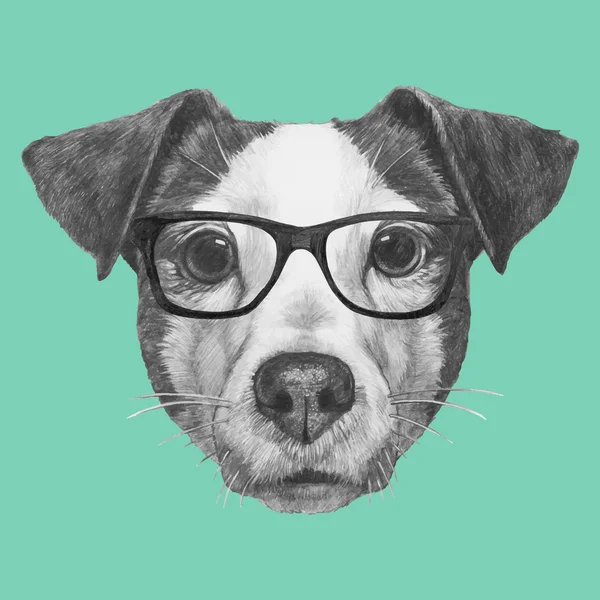 Jack Russell with glasses — Stock Vector