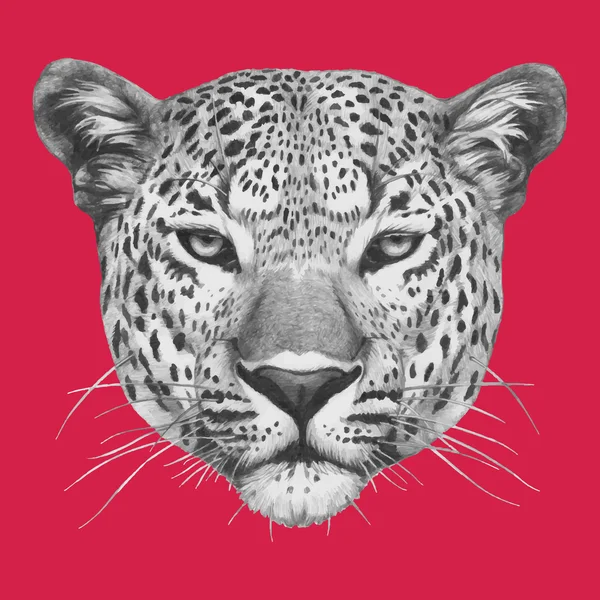 Hand getekend portret van Leopard — Stockvector