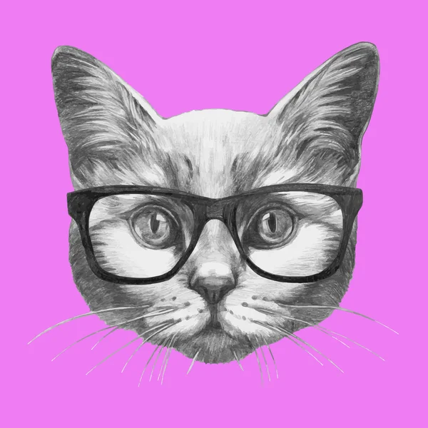 Retrato de Gato com óculos — Vetor de Stock