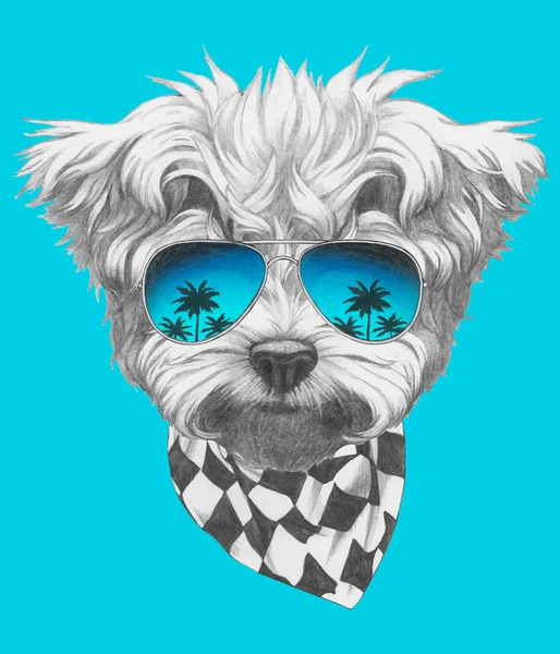 Maltese Poodle cu ochelari de soare oglindă — Vector de stoc