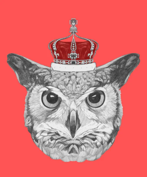 猫头鹰与皇冠的肖像 — 图库矢量图片