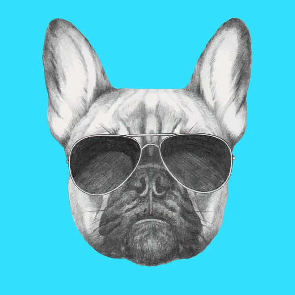 Franse bulldog met zonnebril — Stockvector