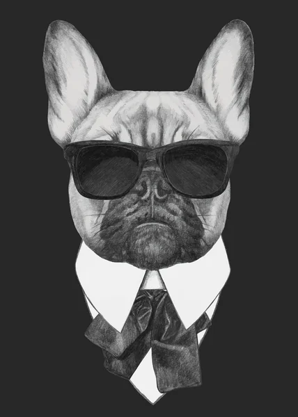 Franse Bulldog mode portret — Stockvector