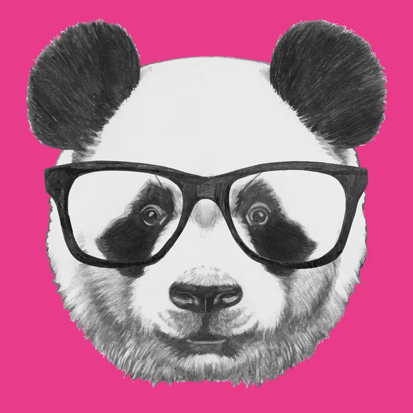 Portrait de Panda avec des lunettes — Image vectorielle