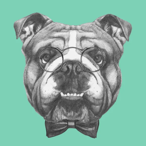 Englische Bulldogge mit Brille und Fliege — Stockvektor