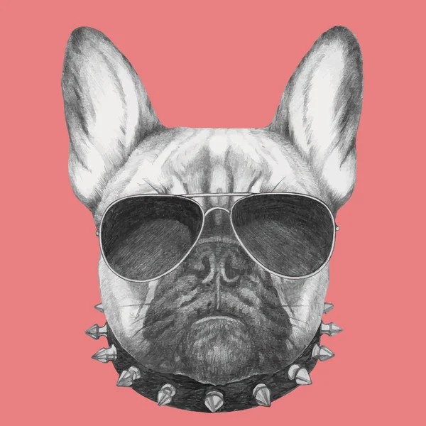 Bulldog francés con cuello y gafas de sol — Archivo Imágenes Vectoriales