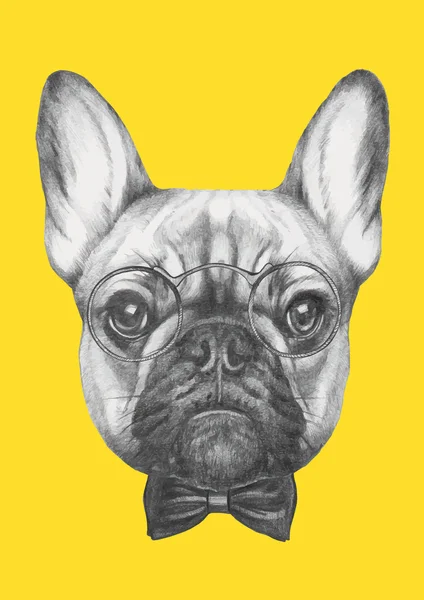 Bulldog francese con occhiali e papillon — Vettoriale Stock