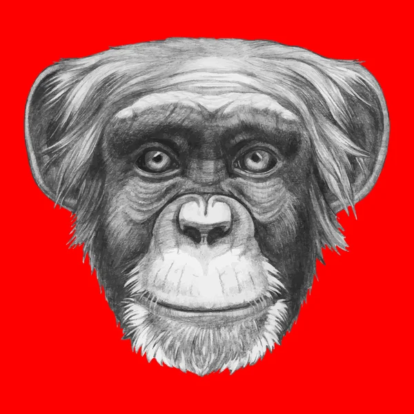 Portrait de singe dessiné à la main — Image vectorielle