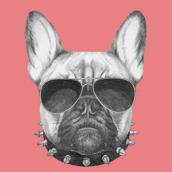 Bulldog francés con cuello y gafas de sol — Vector de stock
